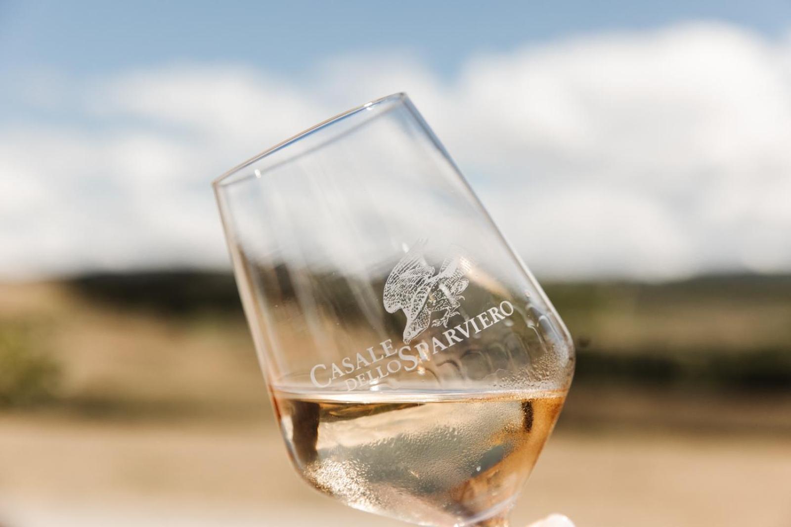 Agriturismo Casale Dello Sparviero カステッリーナ・イン・キアンティ シエナ エクステリア 写真