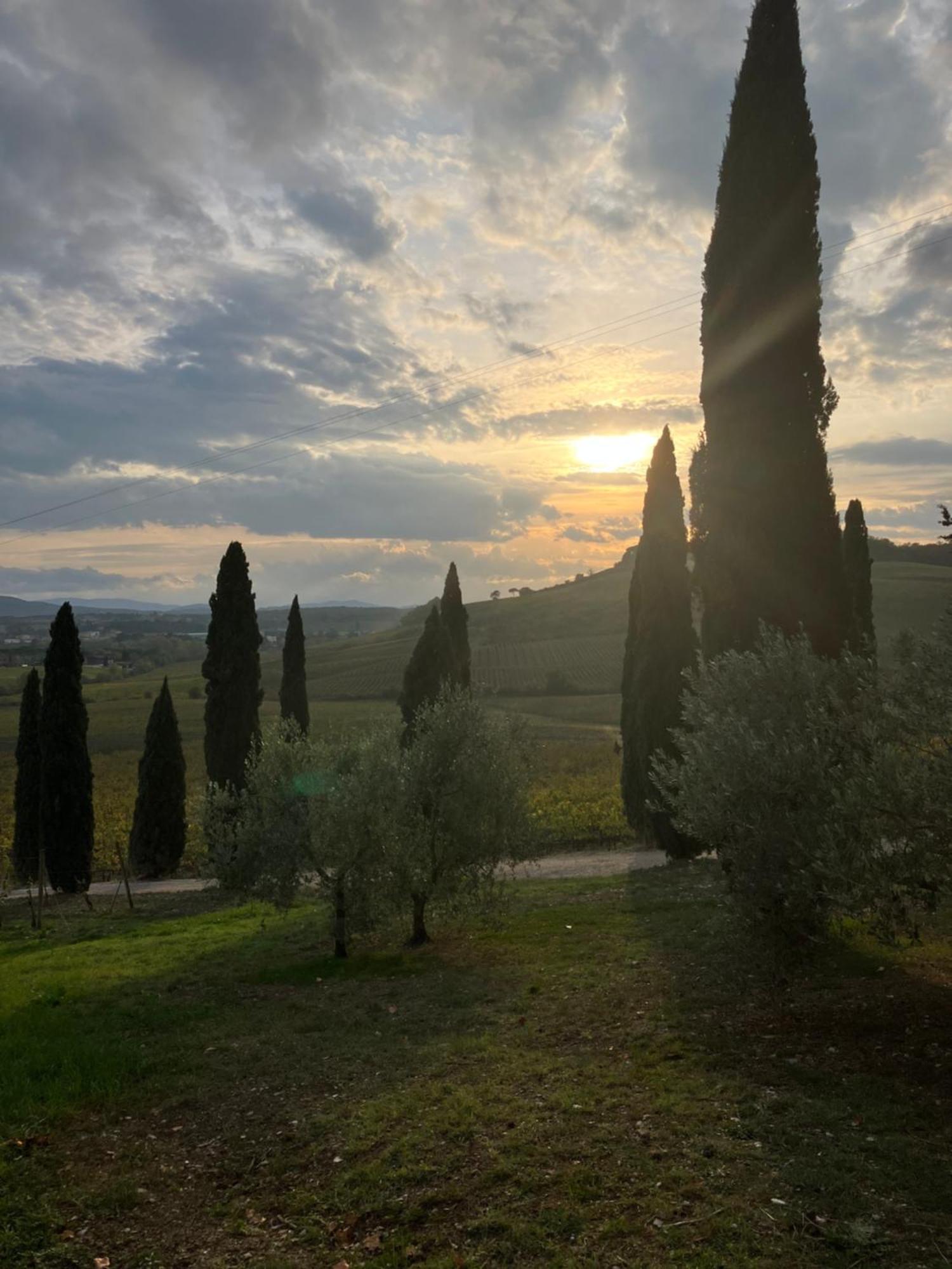 Agriturismo Casale Dello Sparviero カステッリーナ・イン・キアンティ シエナ エクステリア 写真